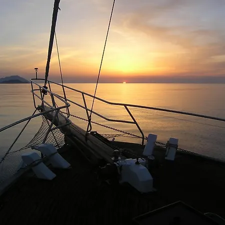 Lady Rose Genoa